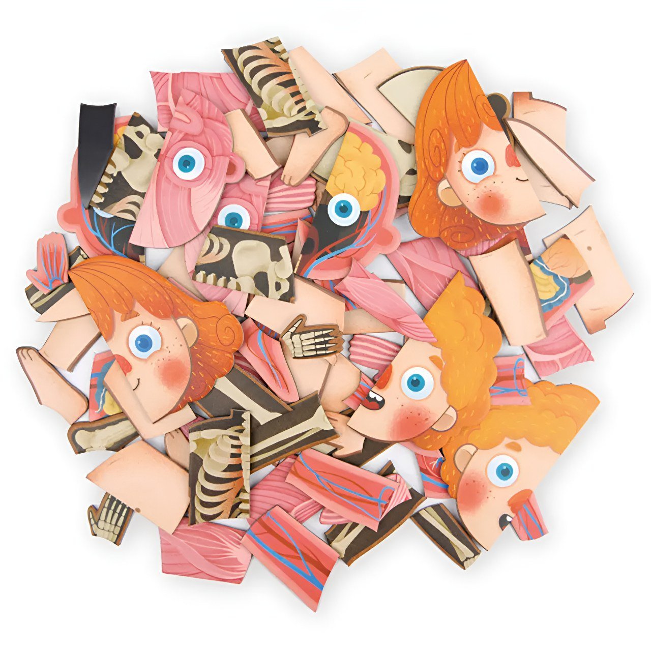 بازل جسم الانسان المغناطيسي 90 قطعة _ الحجم الكبير (بنت) - KIDSBOX