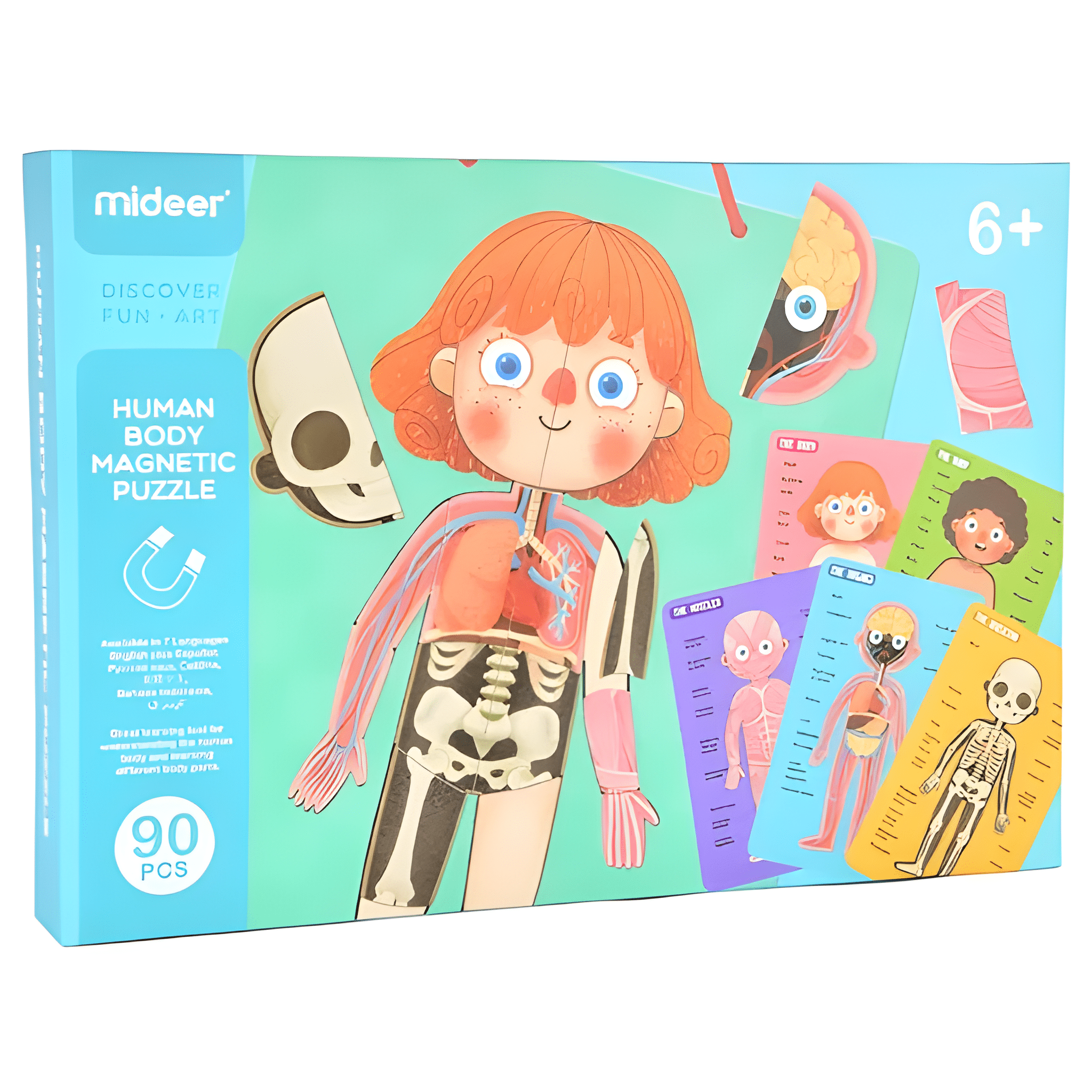 بازل جسم الانسان المغناطيسي 90 قطعة _ الحجم الكبير (بنت) - KIDSBOX
