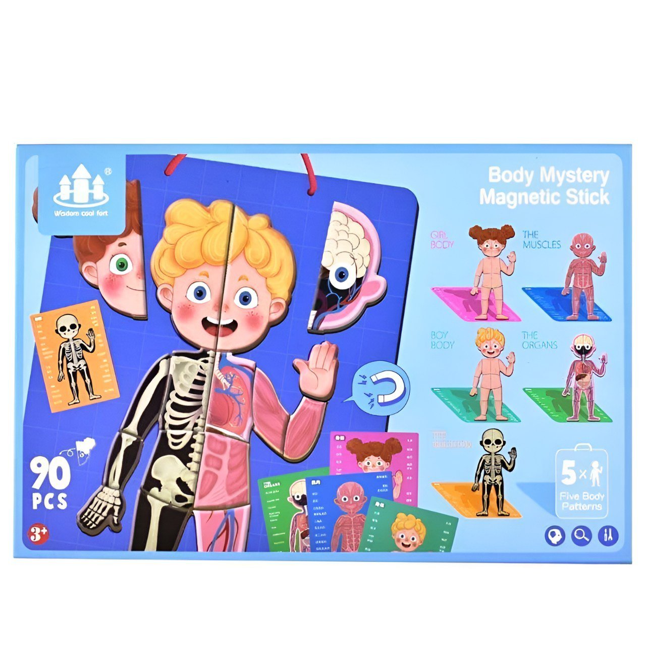 بازل جسم الانسان المغناطيسي 90 قطعة _ الحجم الكبير (ولد) - KIDSBOX