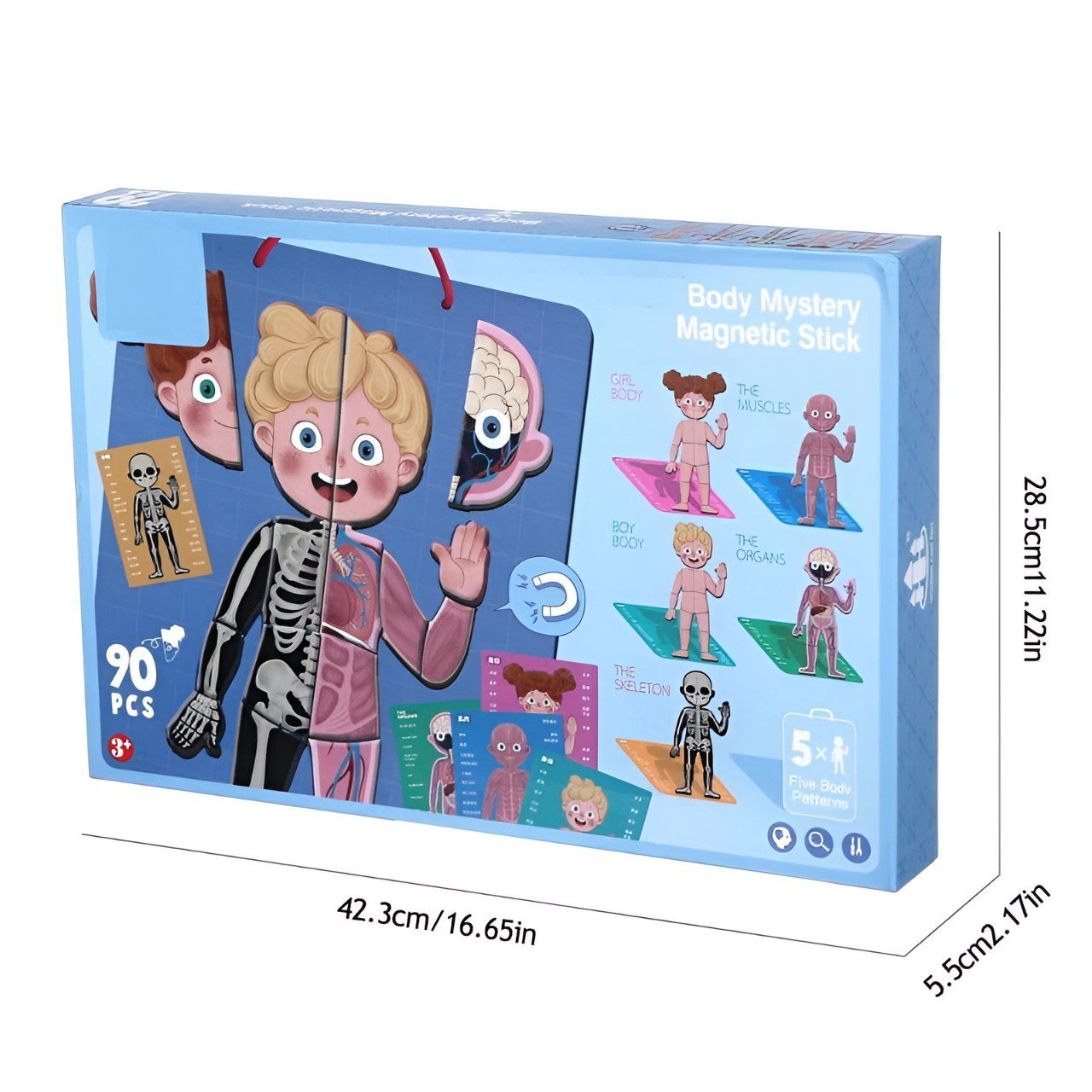 بازل جسم الانسان المغناطيسي 90 قطعة _ الحجم الكبير (ولد) - KIDSBOX