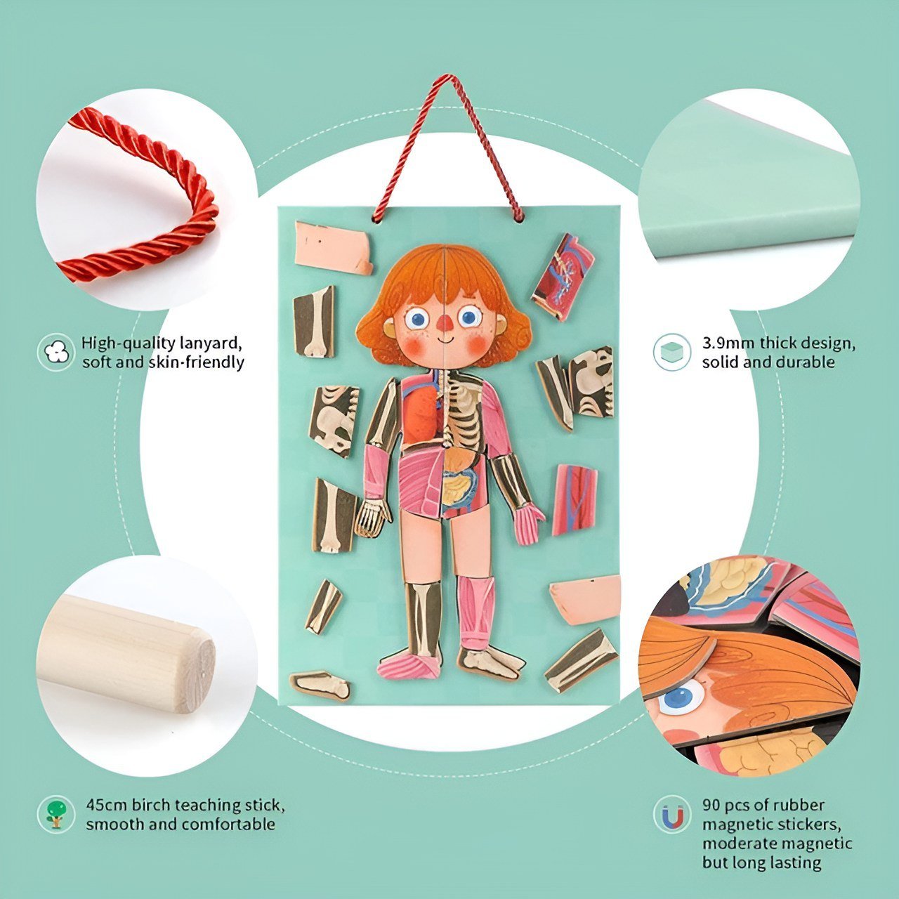 بازل جسم الانسان (بنت) - KIDSBOX
