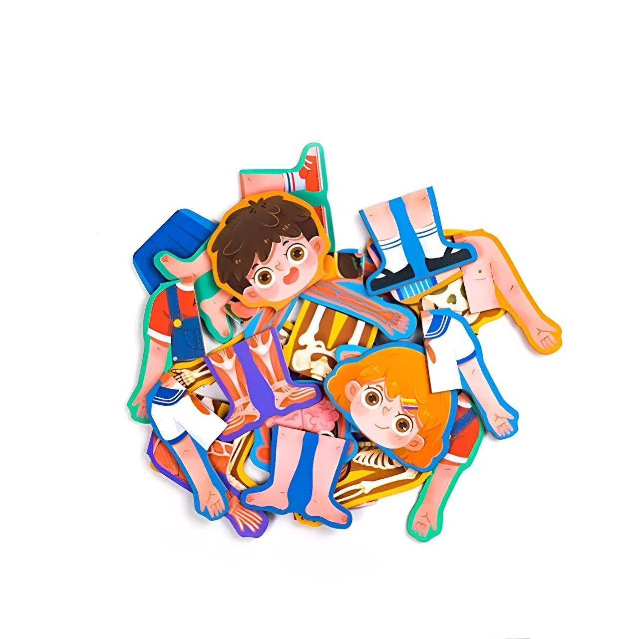 بازل جسم الانسان (ولد) - KIDSBOX