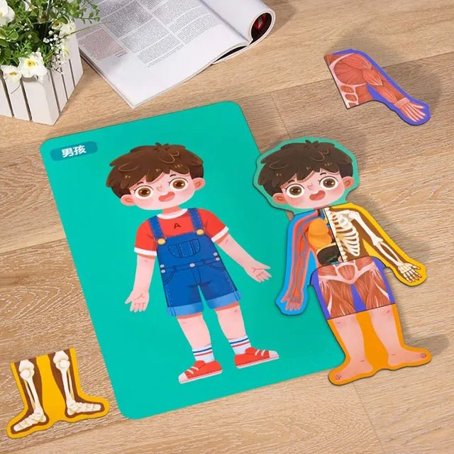 بازل جسم الانسان (ولد) - KIDSBOX