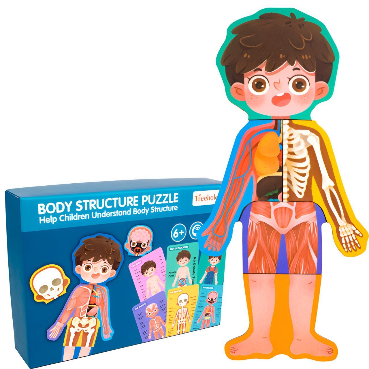 بازل جسم الانسان (ولد) - KIDSBOX