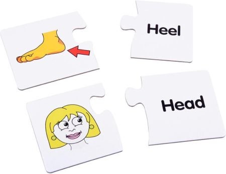 بازل لتعليم الاطفال اعضاء جسم الانسان باللغة الانجليزية - KIDSBOX