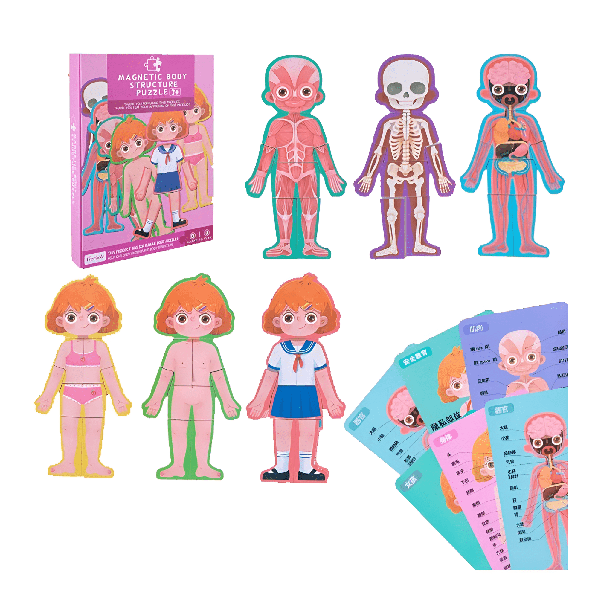 (بنت)دفتر بازل مغناطيس - هذا جسمي - KIDSBOX