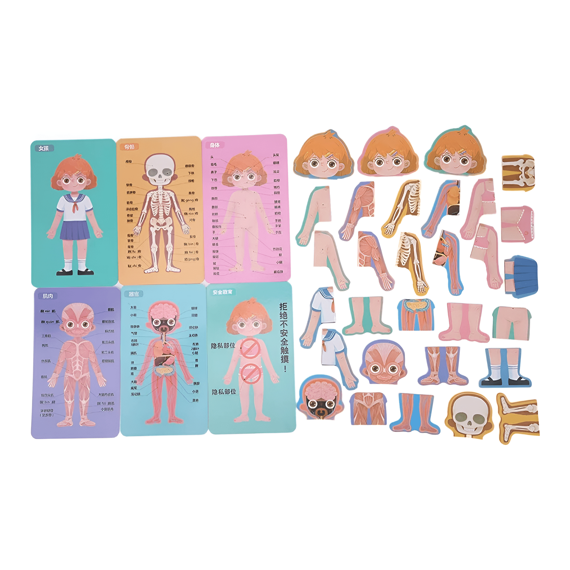 (بنت)دفتر بازل مغناطيس - هذا جسمي - KIDSBOX