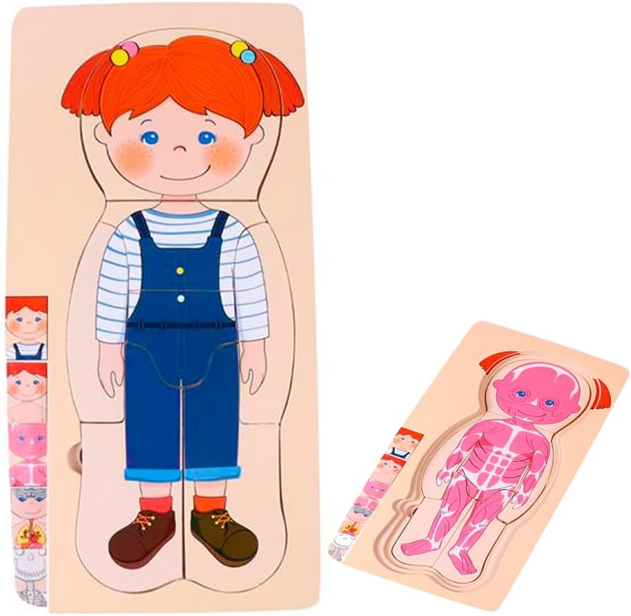 جسم الإنسان الخشبي (بنت) - KIDSBOX