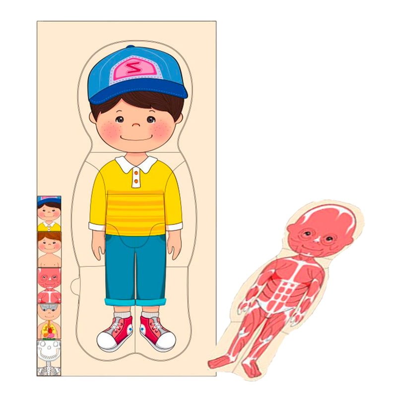 جسم الإنسان الخشبي (ولد) - KIDSBOX