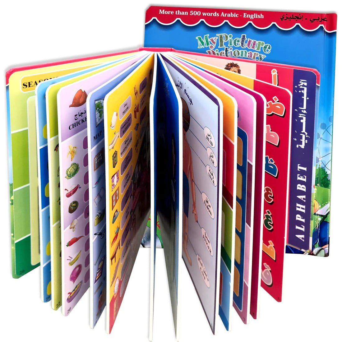 قاموسي الاول - KIDSBOX