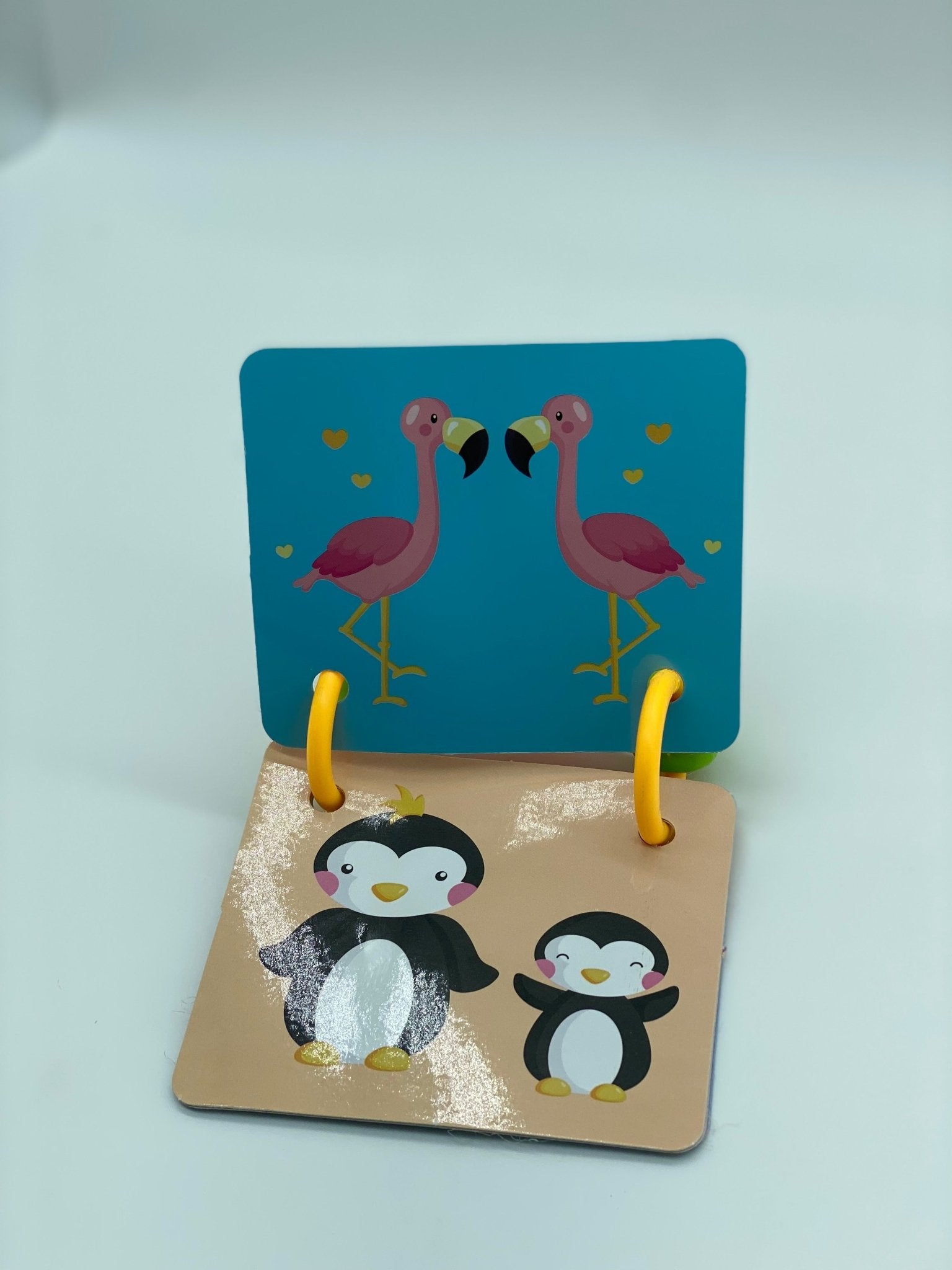 كتاب بيبي مع مساكة - KIDSBOX