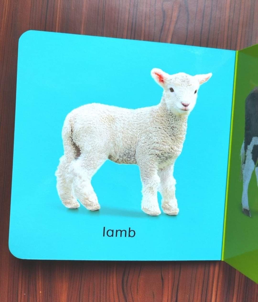 كتابي اللوحي الصغير - KIDSBOX