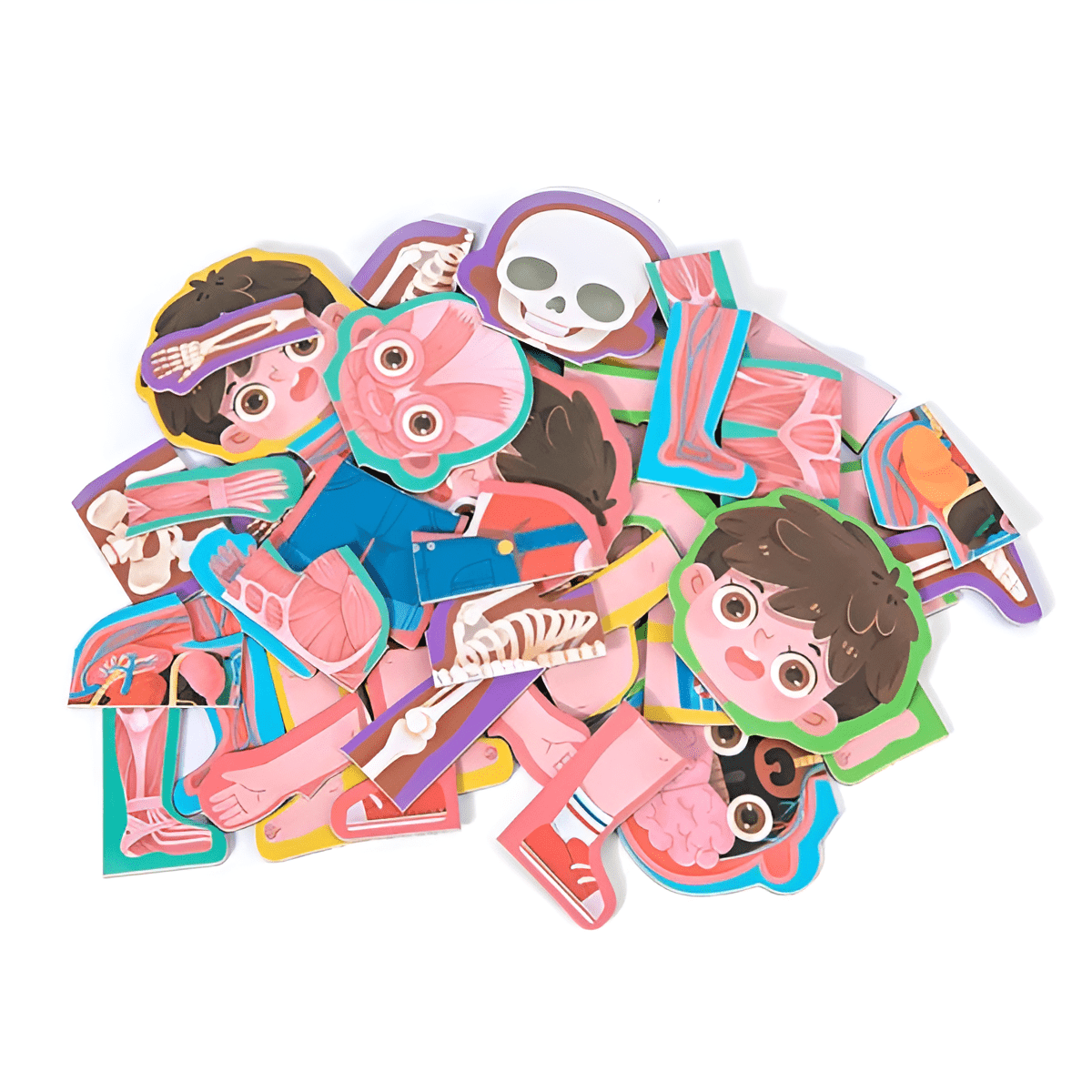 (ولد)دفتر بازل مغناطيس - هذا جسمي - KIDSBOX