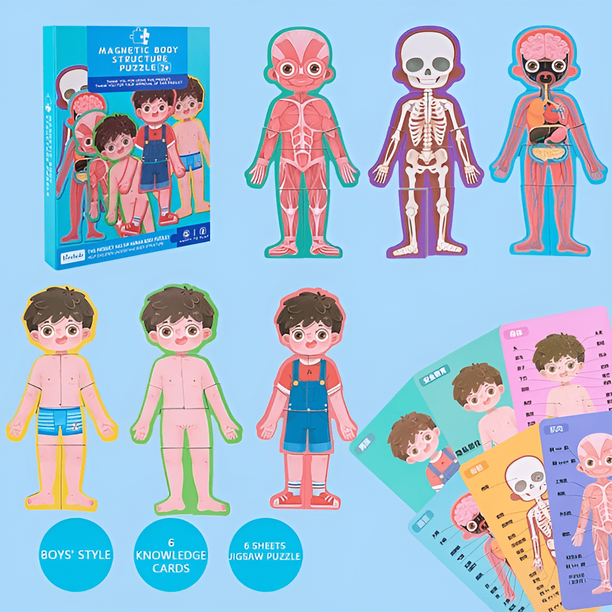 (ولد)دفتر بازل مغناطيس - هذا جسمي - KIDSBOX