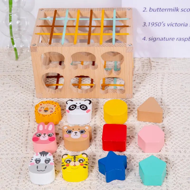 صندوق المقاومة - KIDSBOX