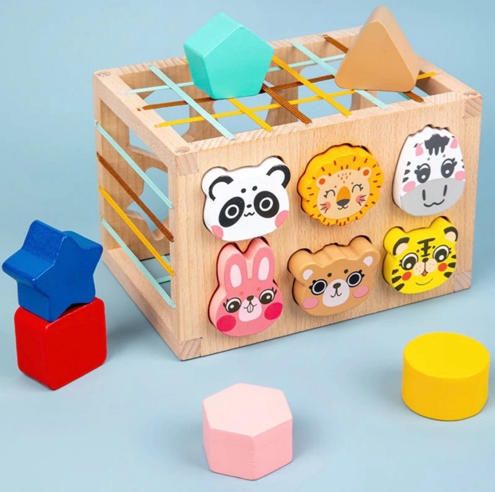 صندوق المقاومة - KIDSBOX