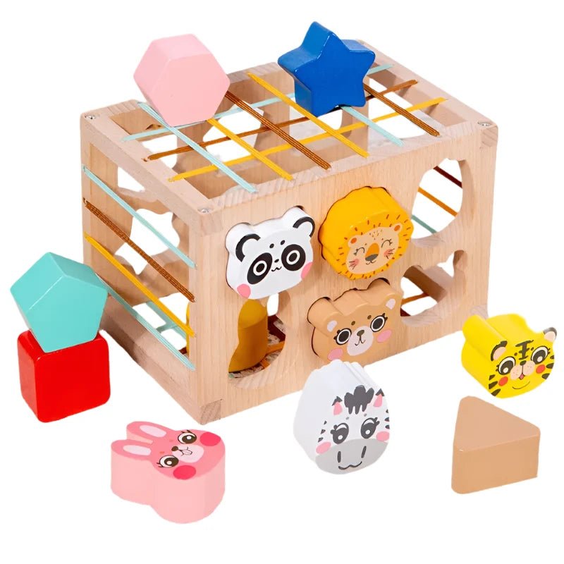 صندوق المقاومة - KIDSBOX