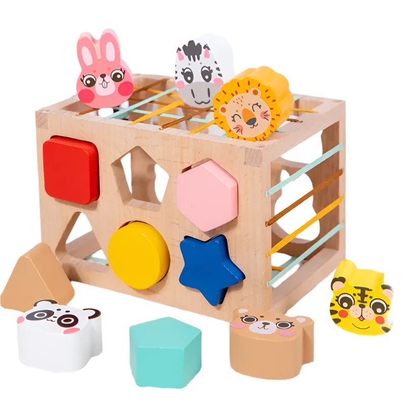 صندوق المقاومة - KIDSBOX